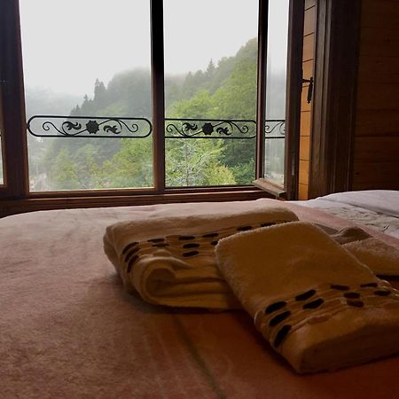 Dervish Inn Çamlıhemşin Zewnętrze zdjęcie